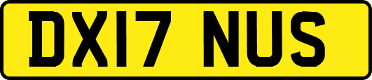 DX17NUS