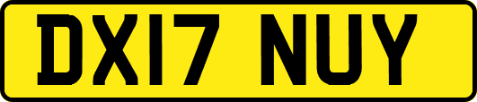 DX17NUY