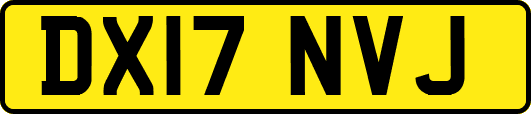 DX17NVJ