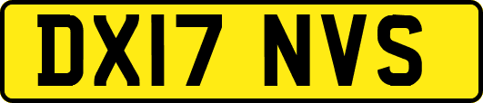 DX17NVS