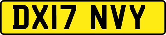 DX17NVY