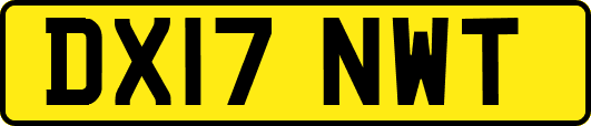 DX17NWT