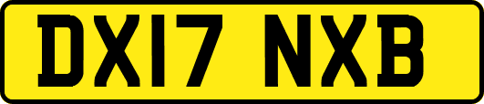 DX17NXB