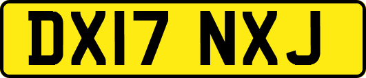 DX17NXJ