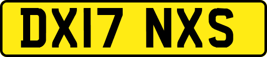 DX17NXS
