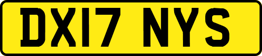 DX17NYS