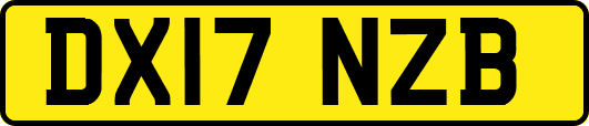 DX17NZB