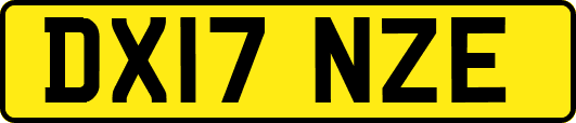 DX17NZE