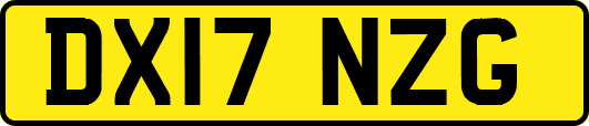 DX17NZG
