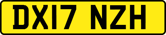 DX17NZH