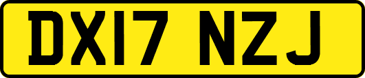 DX17NZJ