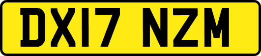 DX17NZM