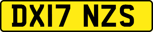 DX17NZS