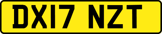 DX17NZT