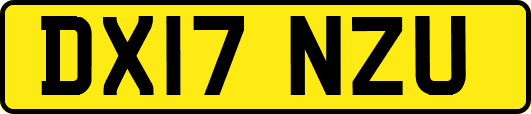 DX17NZU