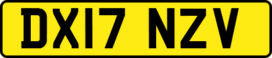 DX17NZV