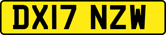 DX17NZW