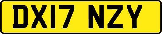 DX17NZY