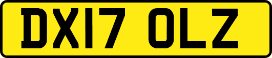 DX17OLZ