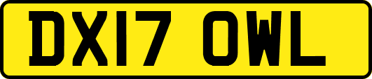 DX17OWL