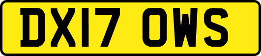 DX17OWS