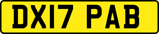 DX17PAB