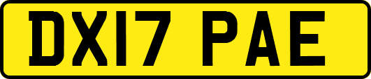 DX17PAE