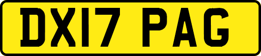 DX17PAG