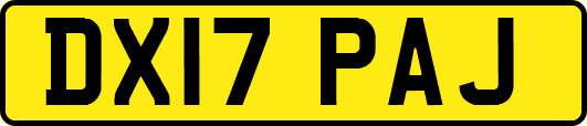 DX17PAJ
