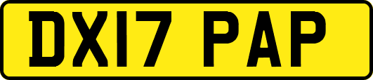 DX17PAP