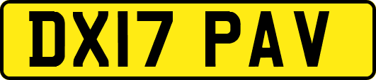 DX17PAV