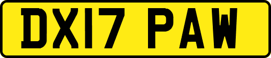 DX17PAW