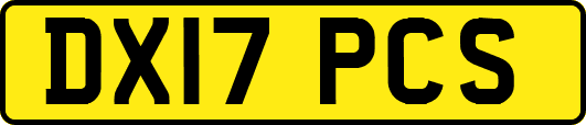 DX17PCS