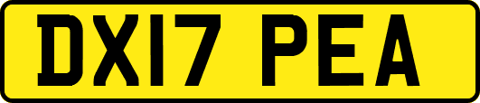 DX17PEA