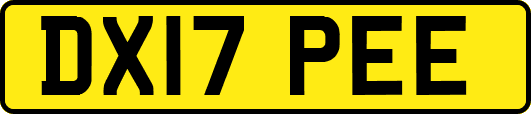 DX17PEE