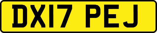 DX17PEJ