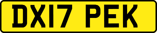 DX17PEK