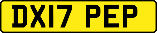 DX17PEP
