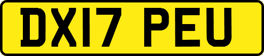DX17PEU