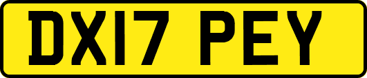 DX17PEY