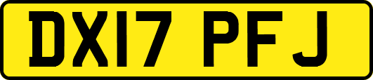 DX17PFJ