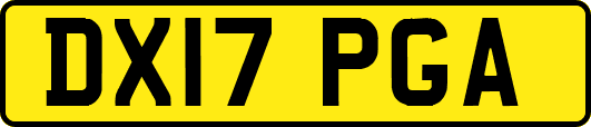 DX17PGA
