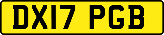 DX17PGB