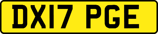 DX17PGE