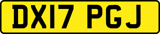 DX17PGJ