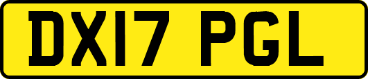 DX17PGL