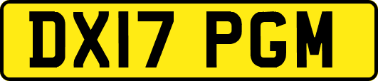 DX17PGM