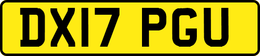 DX17PGU