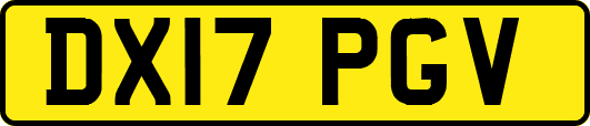 DX17PGV