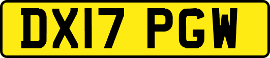 DX17PGW